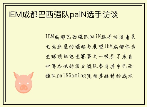 IEM成都巴西强队paiN选手访谈